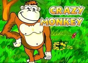 1531429109 crazy monkey 360x260 1